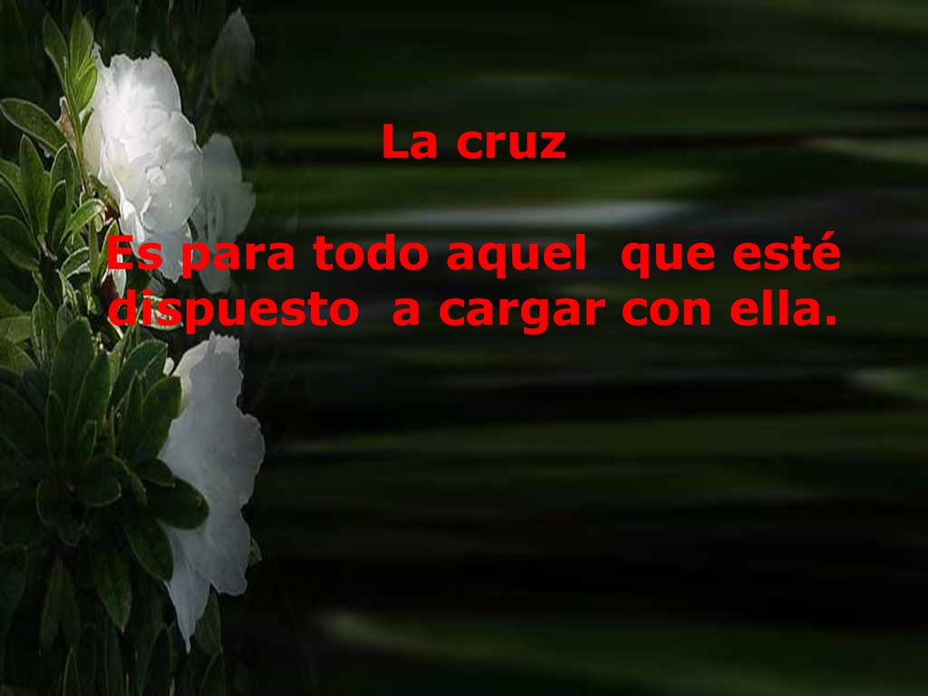 Es para todo aquel que esté dispuesto a cargar con ella.
