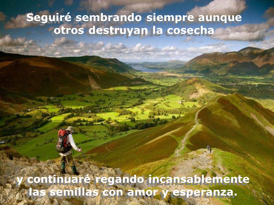 Seguiré sembrando siempre aunque otros destruyan la cosecha