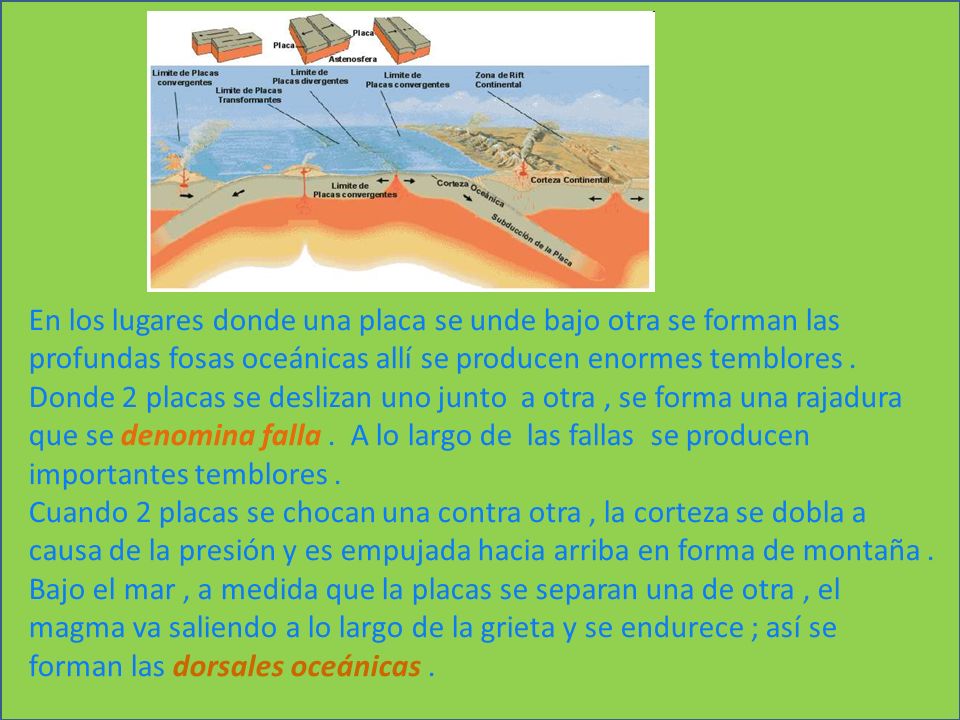 En los lugares donde una placa se unde bajo otra se forman las profundas fosas oceánicas allí se producen enormes temblores .