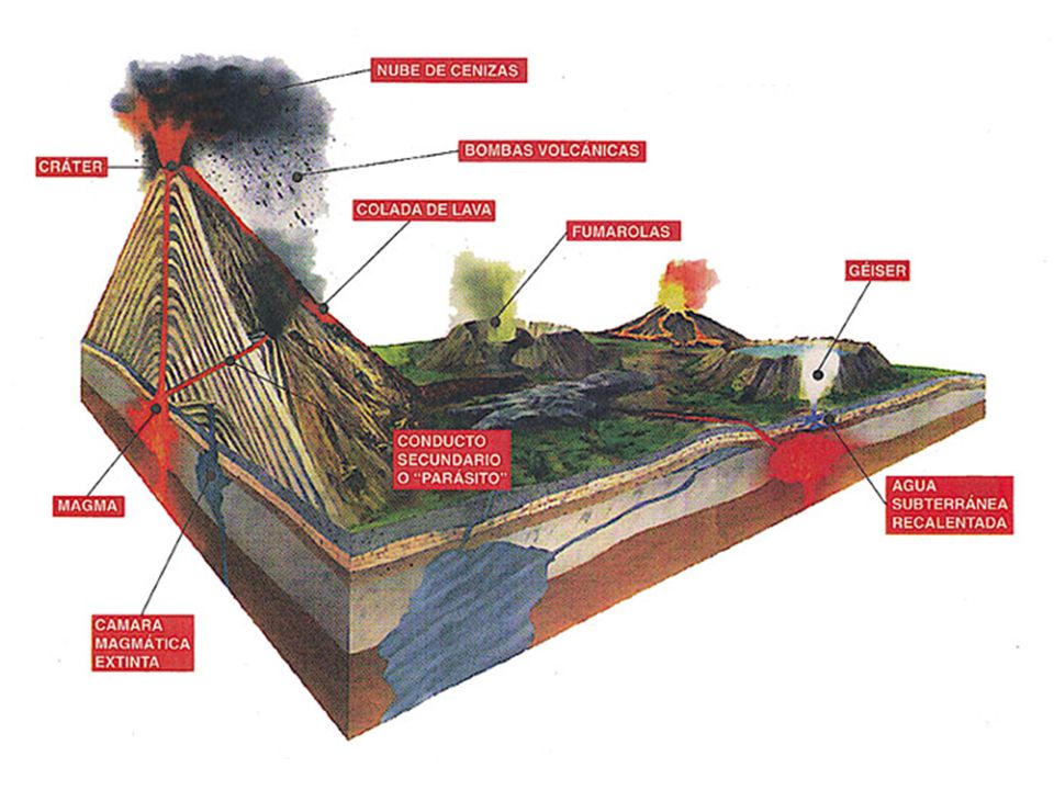 En la parte inferior del volcán por el interior de la tierra esta la cámara magmática en donde se encuentra el magma mas arriba esta la chimenea y las chimeneas secundarias finalmente las chimeneas1 primaria y ½ secundarias en el momento de la erupción se forma la fumarola ( nube de ceniza )