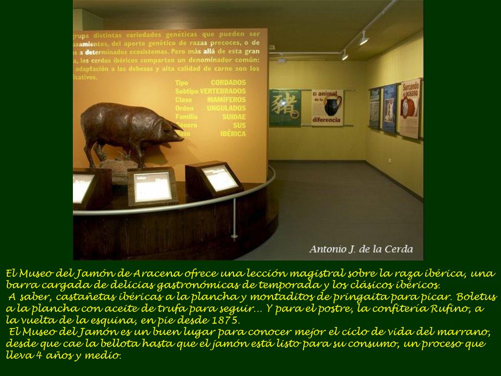 El Museo del Jamón de Aracena ofrece una lección magistral sobre la raza ibérica, una barra cargada de delicias gastronómicas de temporada y los clásicos ibéricos.