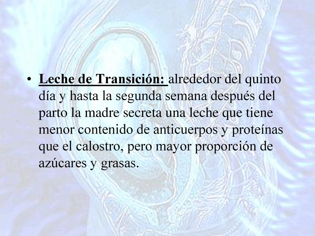 Leche de Transición: alrededor del quinto día y hasta la segunda semana después del parto la madre secreta una leche que tiene menor contenido de anticuerpos y proteínas que el calostro, pero mayor proporción de azúcares y grasas.