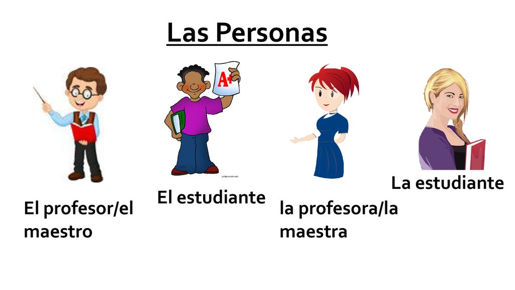 Las Personas La estudiante El estudiante El profesor/el maestro