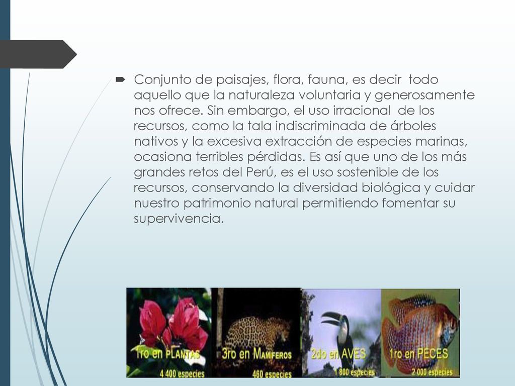 Conjunto de paisajes, flora, fauna, es decir todo aquello que la naturaleza voluntaria y generosamente nos ofrece.