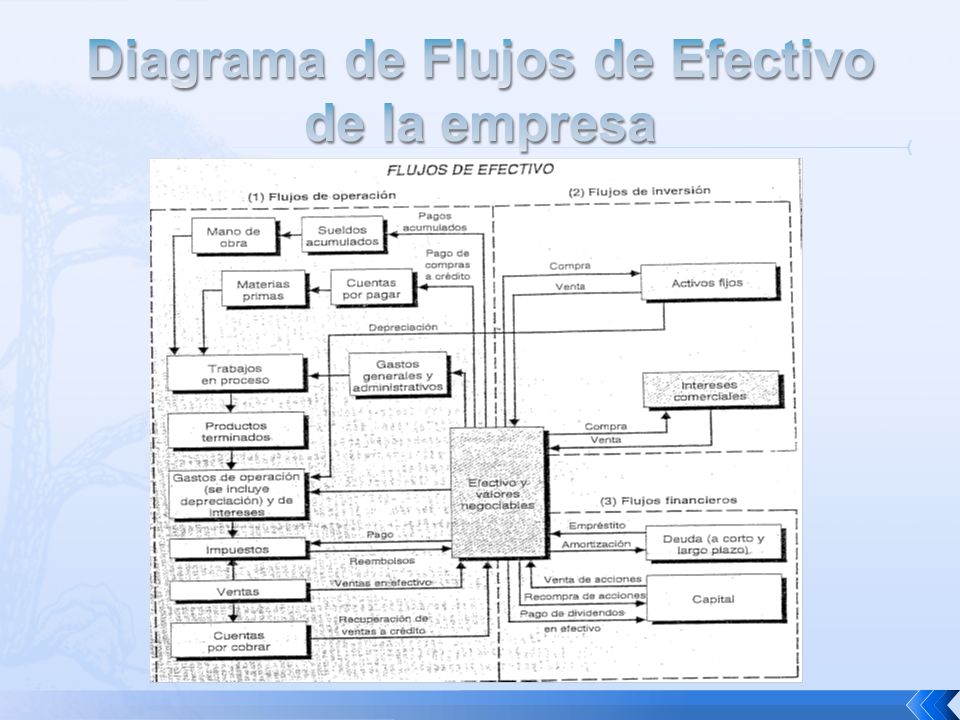 Diagrama de Flujos de Efectivo de la empresa