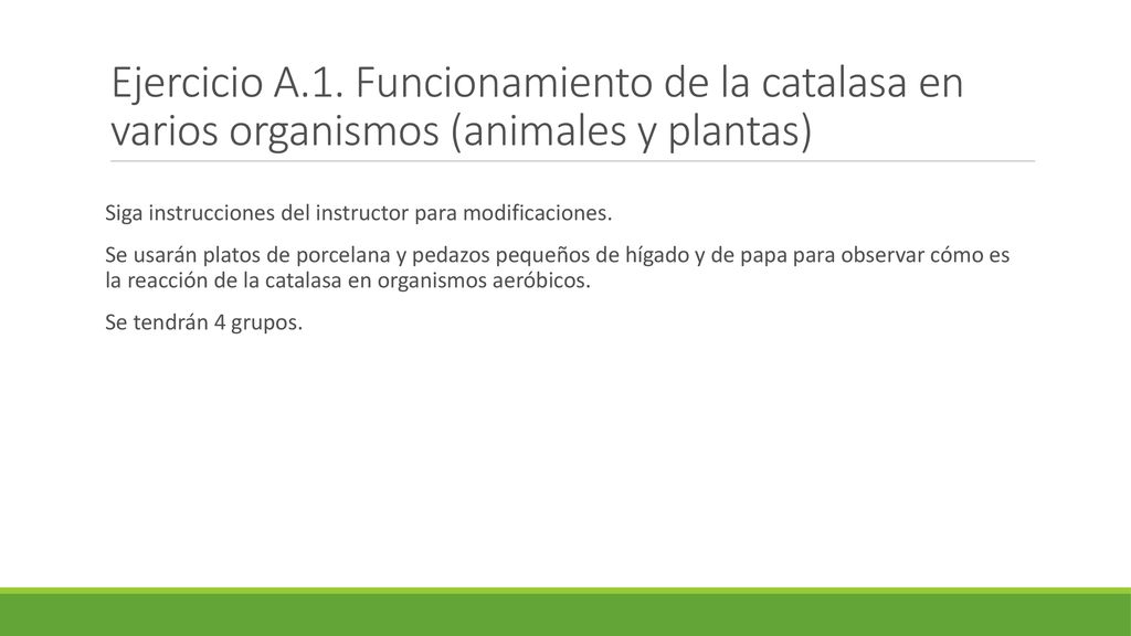 Ejercicio A.1. Funcionamiento de la catalasa en varios organismos (animales y plantas)