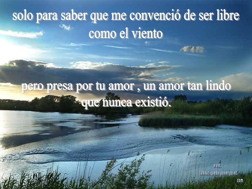 solo para saber que me convenció de ser libre como el viento