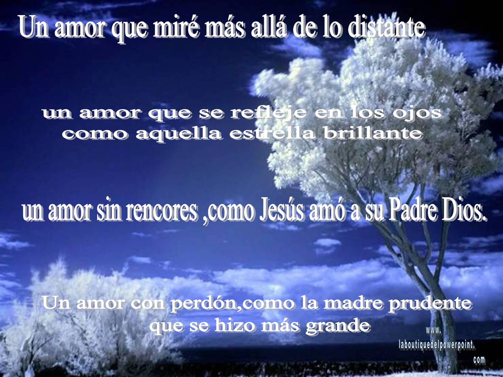 Un amor que miré más allá de lo distante