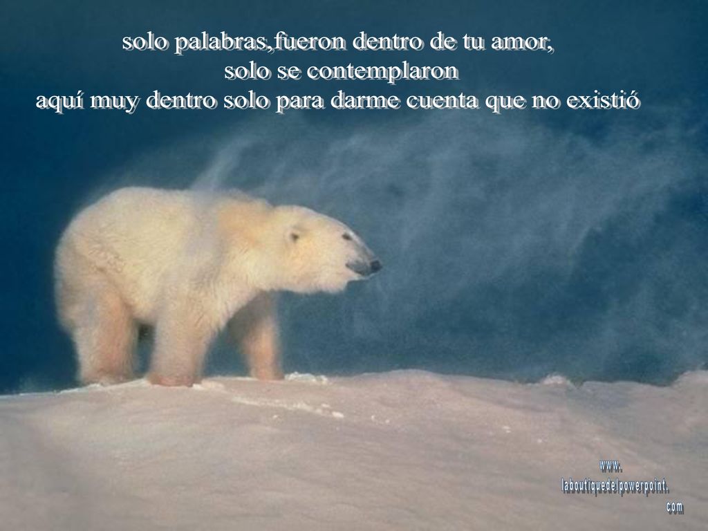 solo palabras,fueron dentro de tu amor, solo se contemplaron