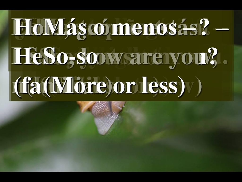 Estoy bien, gracias. – I am well, thank you. Estoy regular / mal – I am all right / not well. Hola, ¿cómo estás –