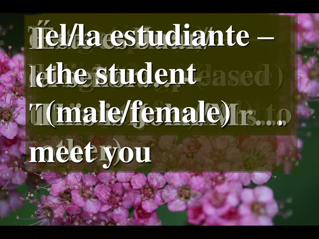 Tengo que irme – I have to go (leave) encantado(a) – delighted, pleased. to meet you, nice to. meet you.