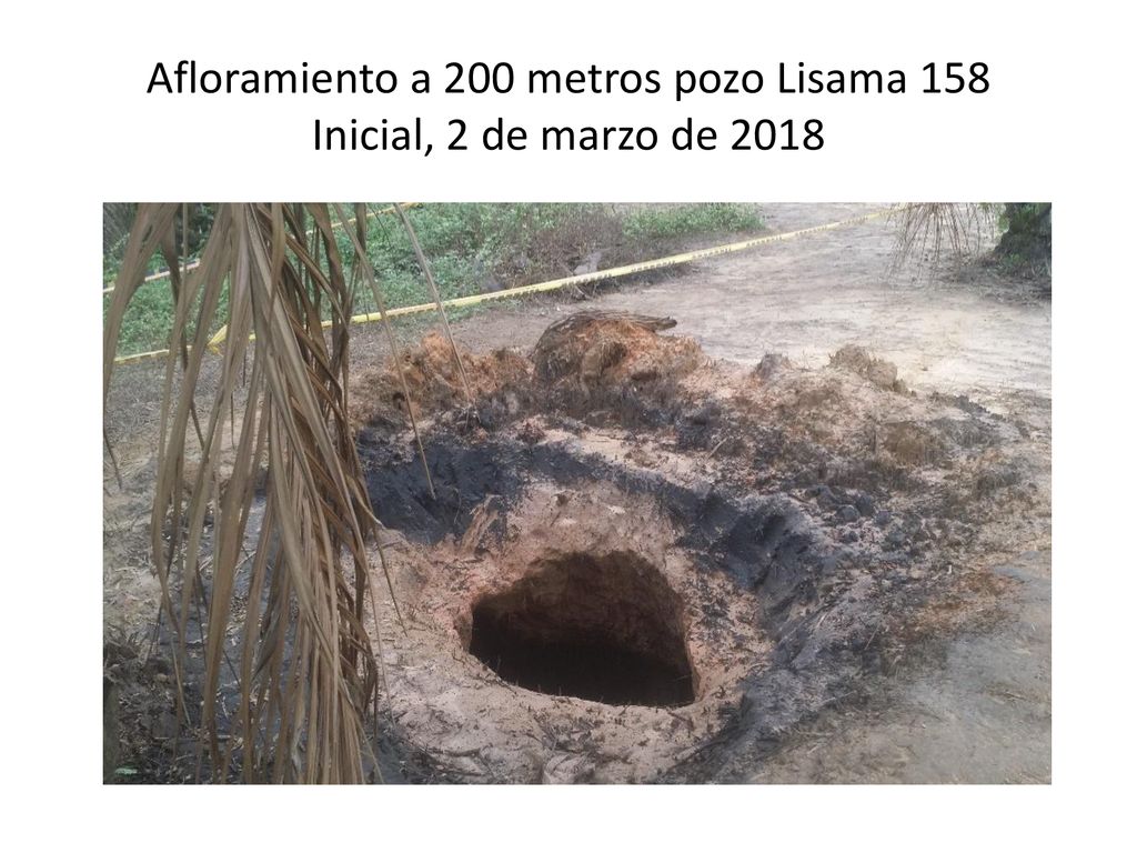 Afloramiento a 200 metros pozo Lisama 158 Inicial, 2 de marzo de 2018