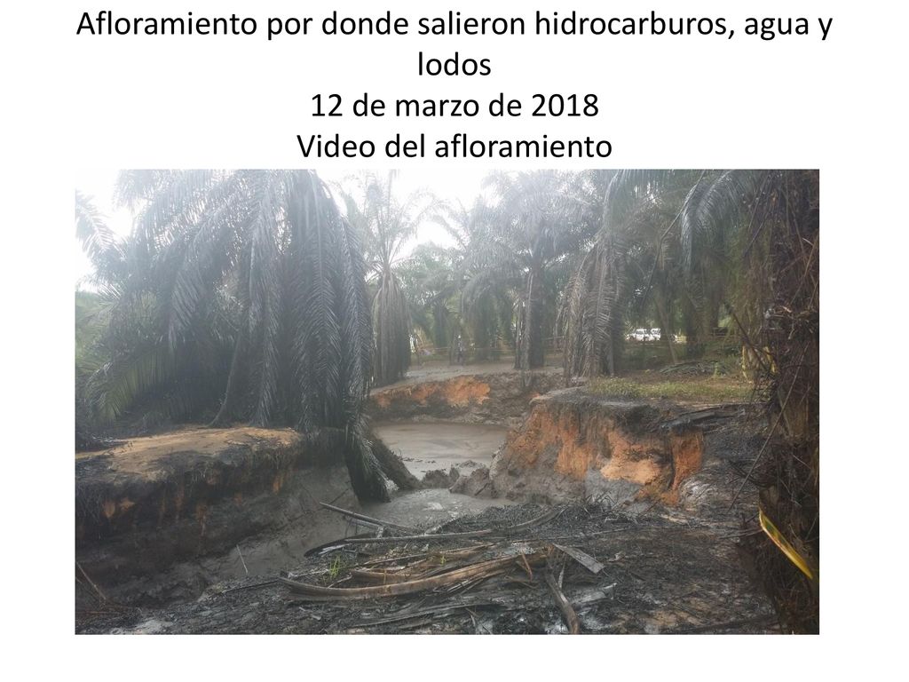 Afloramiento por donde salieron hidrocarburos, agua y lodos 12 de marzo de 2018 Video del afloramiento