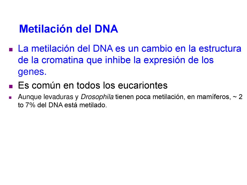 Metilación del DNA La metilación del DNA es un cambio en la estructura de la cromatina que inhibe la expresión de los genes.