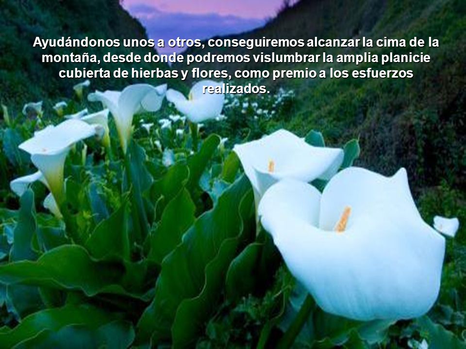 Ayudándonos unos a otros, conseguiremos alcanzar la cima de la montaña, desde donde podremos vislumbrar la amplia planicie cubierta de hierbas y flores, como premio a los esfuerzos realizados.