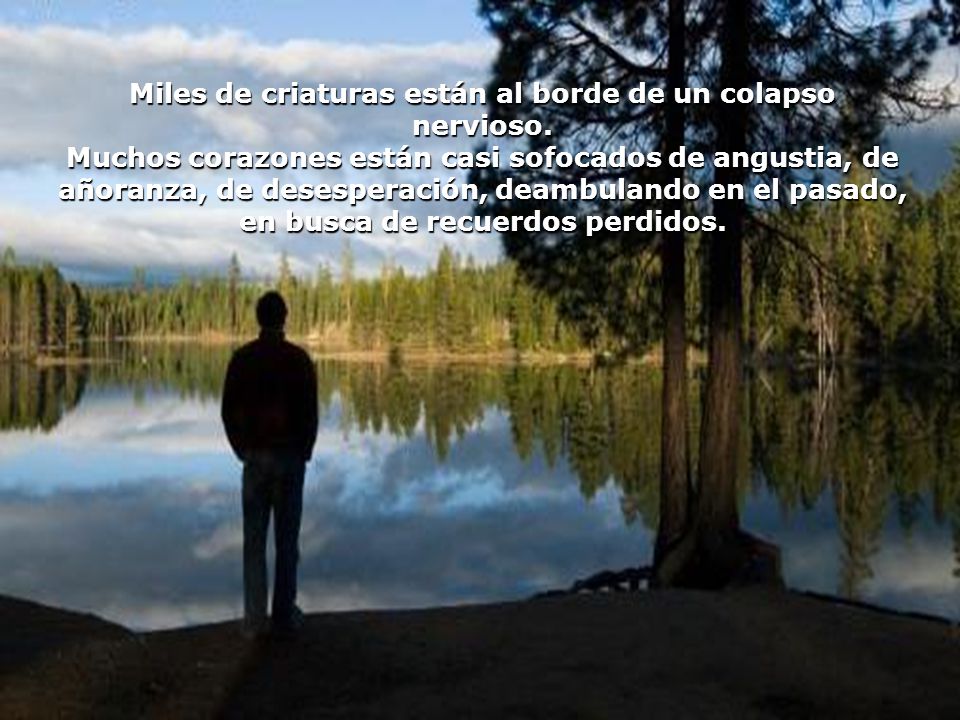 Miles de criaturas están al borde de un colapso nervioso.