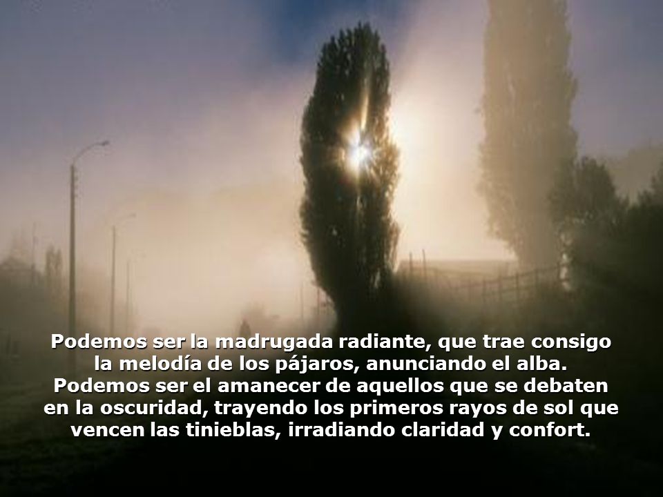 Podemos ser la madrugada radiante, que trae consigo la melodía de los pájaros, anunciando el alba.