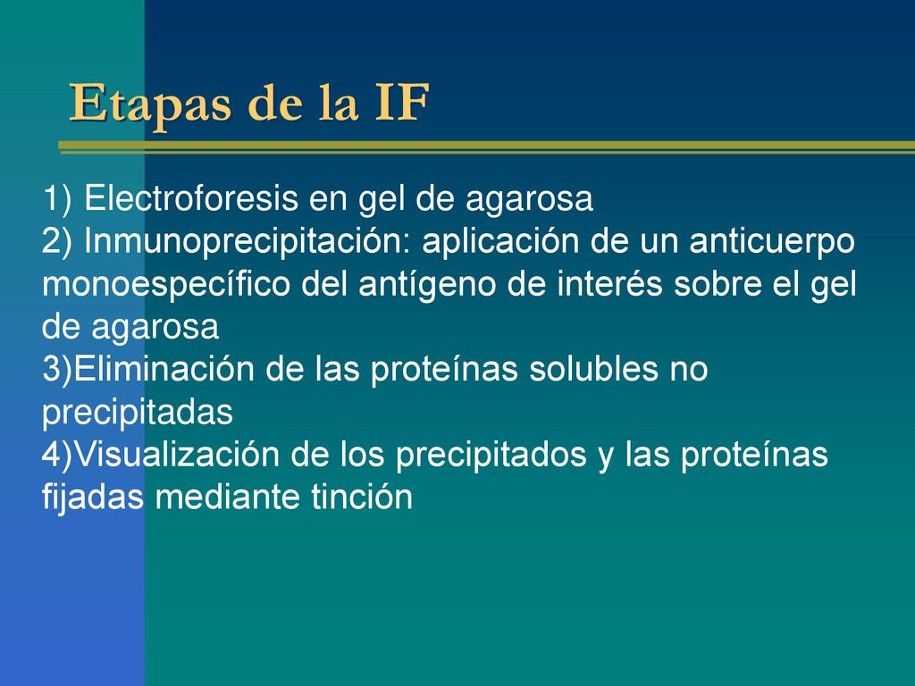 Etapas de la IF 1) Electroforesis en gel de agarosa