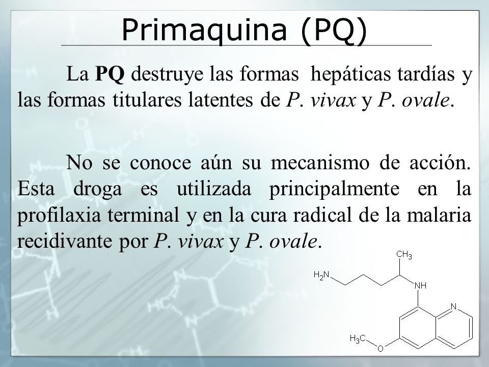 Primaquina (PQ) La PQ destruye las formas hepáticas tardías y las formas titulares latentes de P. vivax y P. ovale.