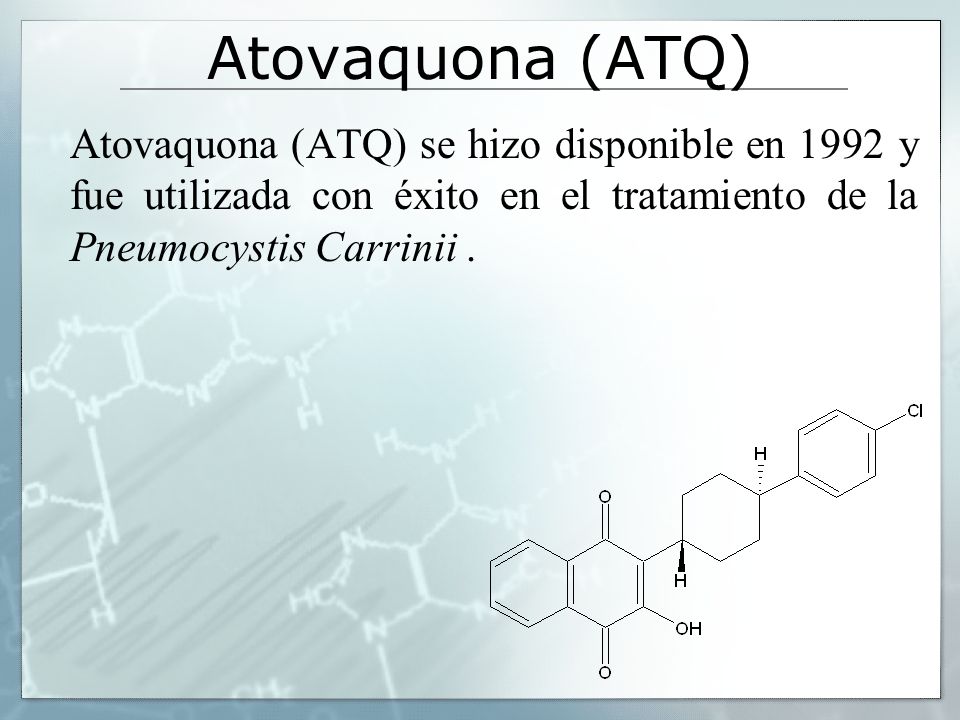Atovaquona (ATQ) Atovaquona (ATQ) se hizo disponible en 1992 y fue utilizada con éxito en el tratamiento de la Pneumocystis Carrinii .