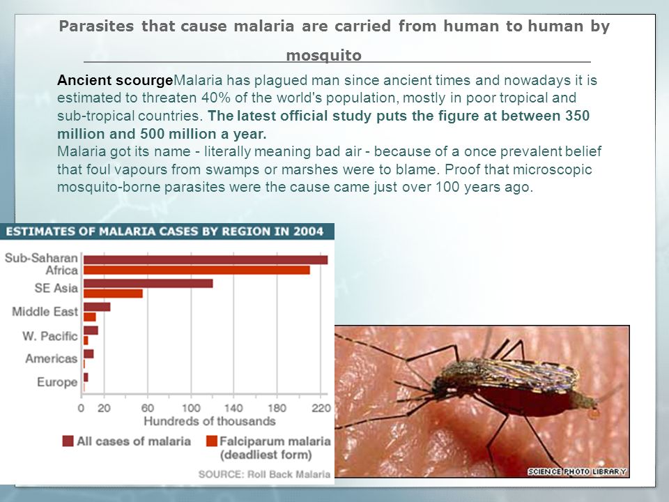 Parasites that cause malaria are carried from human to human by mosquito