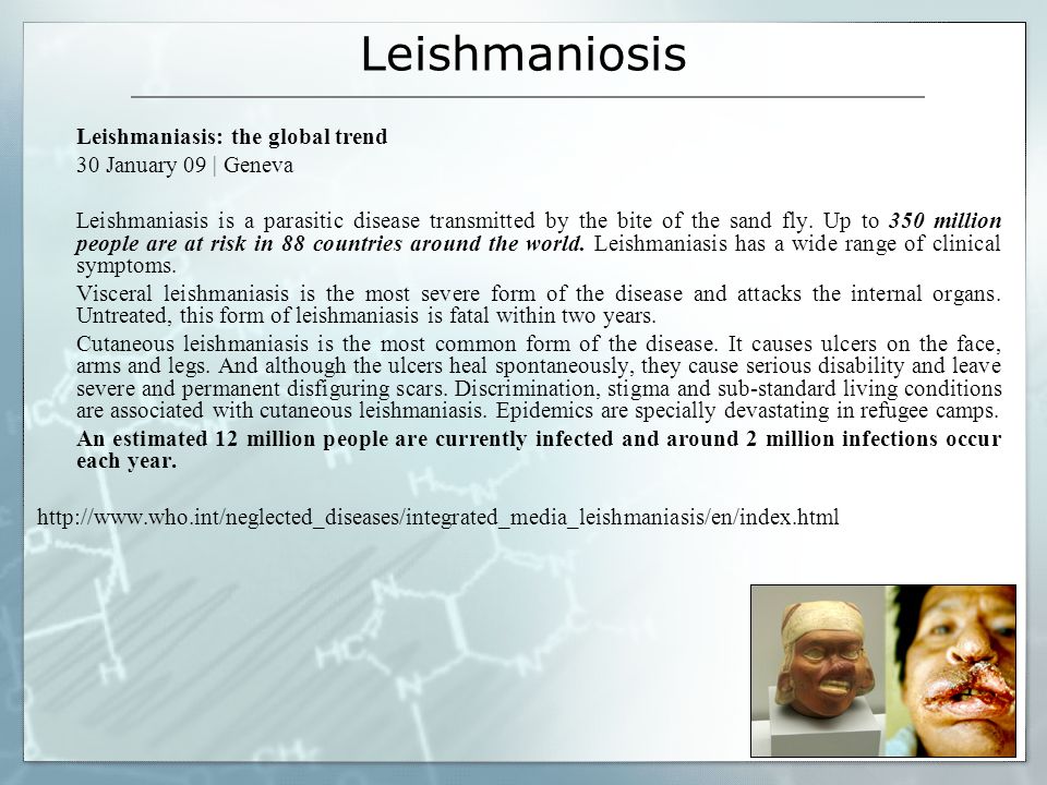 Leishmaniosis Leishmaniasis: the global trend 30 January 09 | Geneva