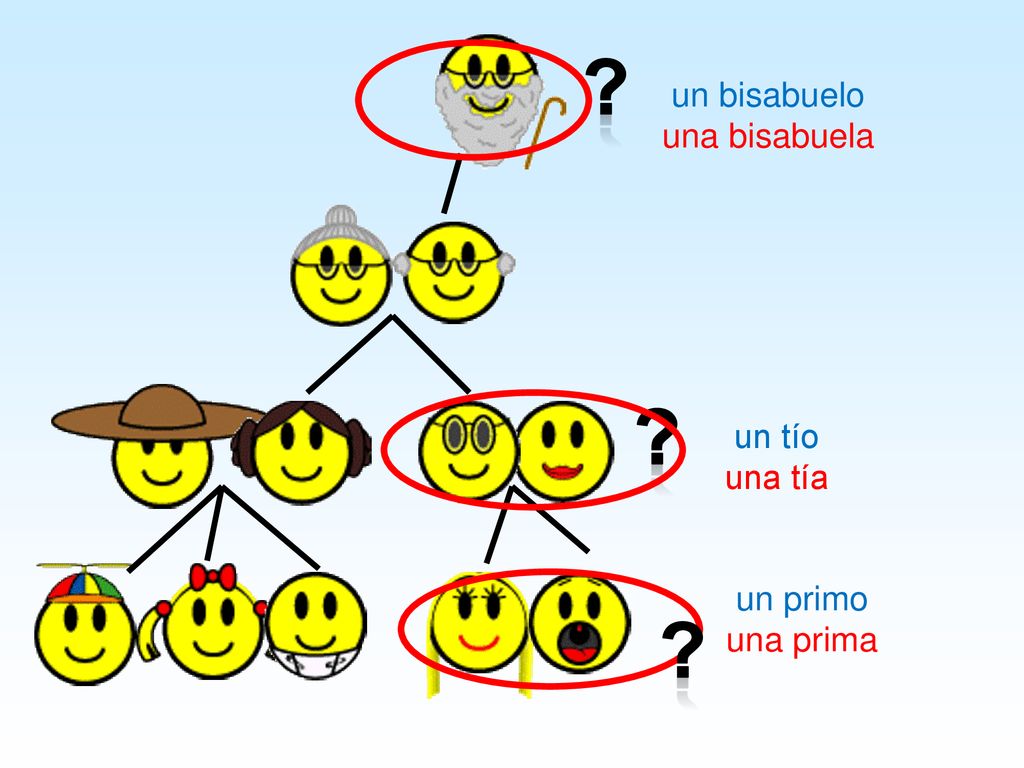 un bisabuelo una bisabuela un tío una tía un primo una prima