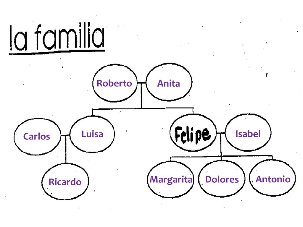 Roberto Anita Luisa Isabel Carlos Margarita Dolores Antonio Ricardo