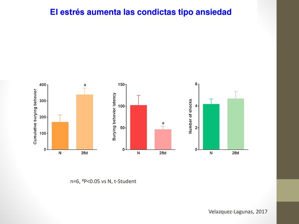 El estrés aumenta las condictas tipo ansiedad