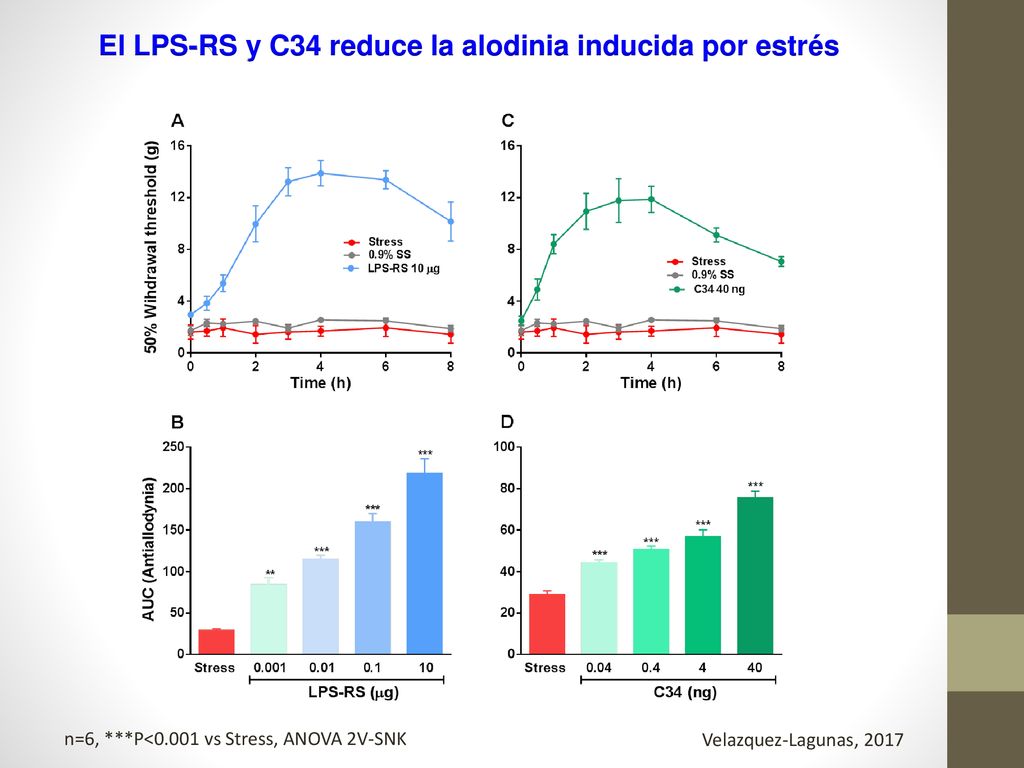 El LPS-RS y C34 reduce la alodinia inducida por estrés