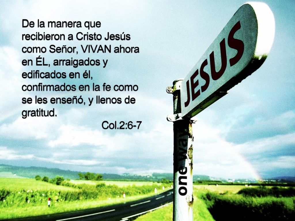 De la manera que recibieron a Cristo Jesús como Señor, VIVAN ahora en ÉL, arraigados y edificados en él, confirmados en la fe como se les enseñó, y llenos de gratitud.