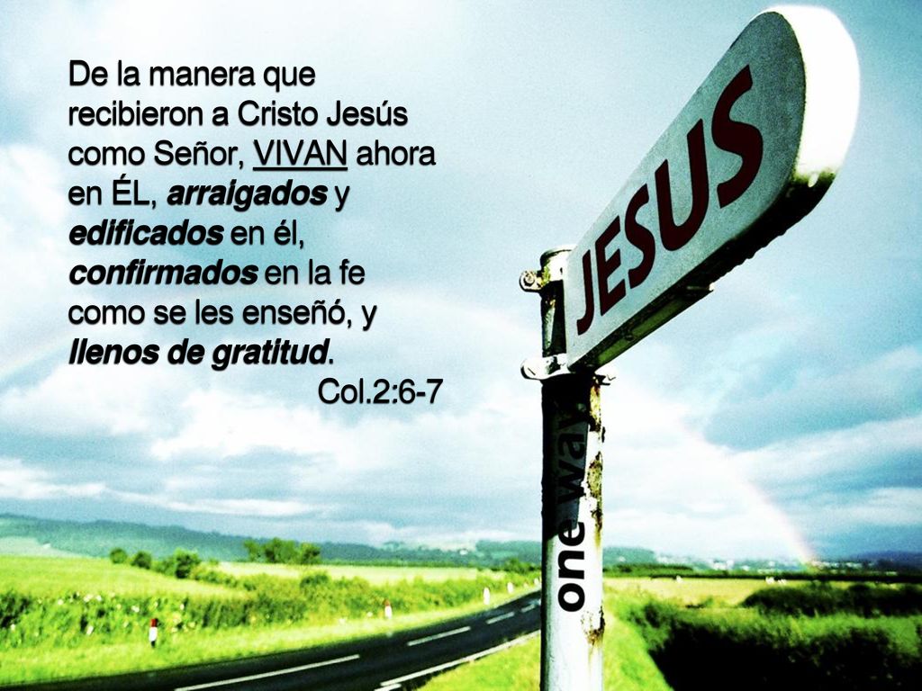 De la manera que recibieron a Cristo Jesús como Señor, VIVAN ahora en ÉL, arraigados y edificados en él, confirmados en la fe como se les enseñó, y llenos de gratitud.
