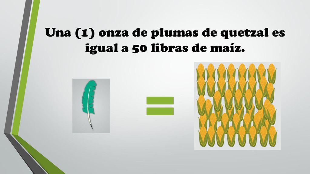Una (1) onza de plumas de quetzal es igual a 50 libras de maíz.