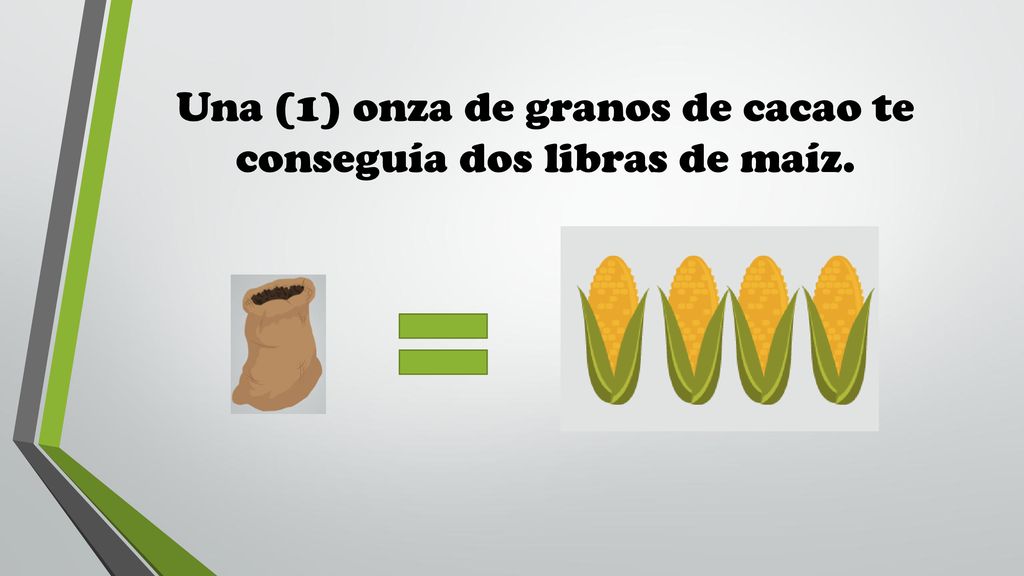 Una (1) onza de granos de cacao te conseguía dos libras de maíz.