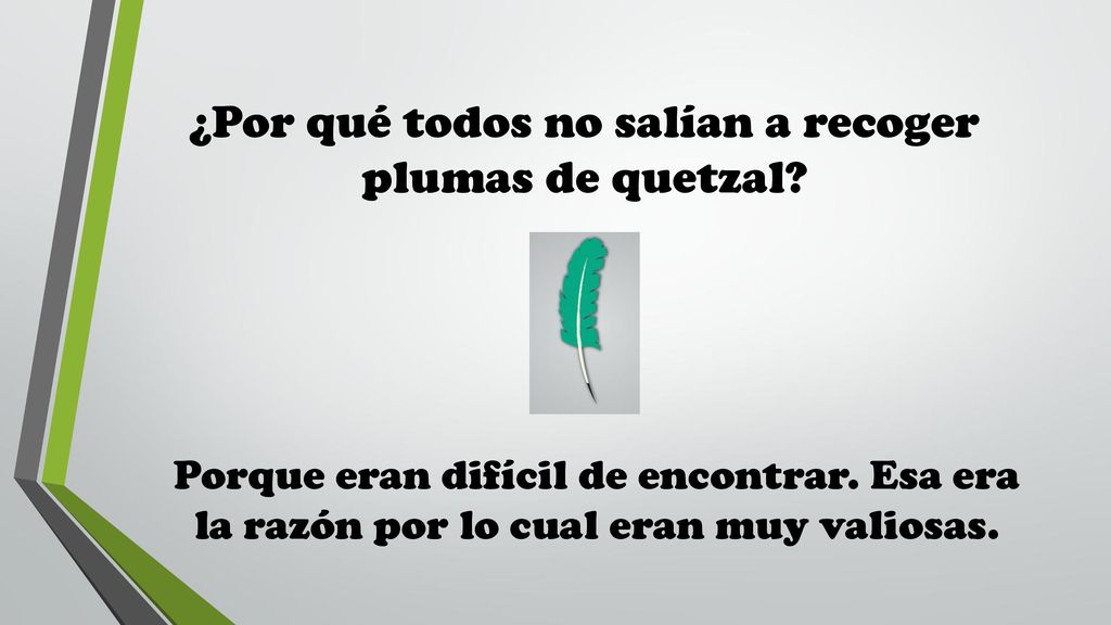 ¿Por qué todos no salían a recoger plumas de quetzal