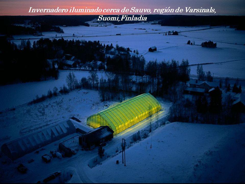 Invernadero iluminado cerca de Sauvo, región de Varsinals,