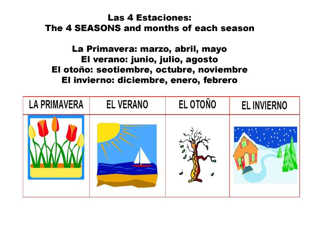Las 4 Estaciones: The 4 SEASONS and months of each season La Primavera: marzo, abril, mayo El verano: junio, julio, agosto El otoño: seotiembre, octubre, noviembre El invierno: diciembre, enero, febrero