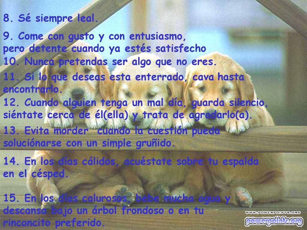 8. Sé siempre leal. 9. Come con gusto y con entusiasmo, pero detente cuando ya estés satisfecho.