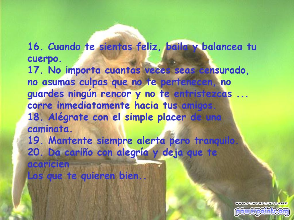 16. Cuando te sientas feliz, baila y balancea tu cuerpo. 17