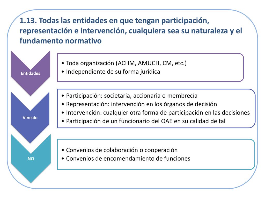 1.13. Todas las entidades en que tengan participación, representación e intervención, cualquiera sea su naturaleza y el fundamento normativo