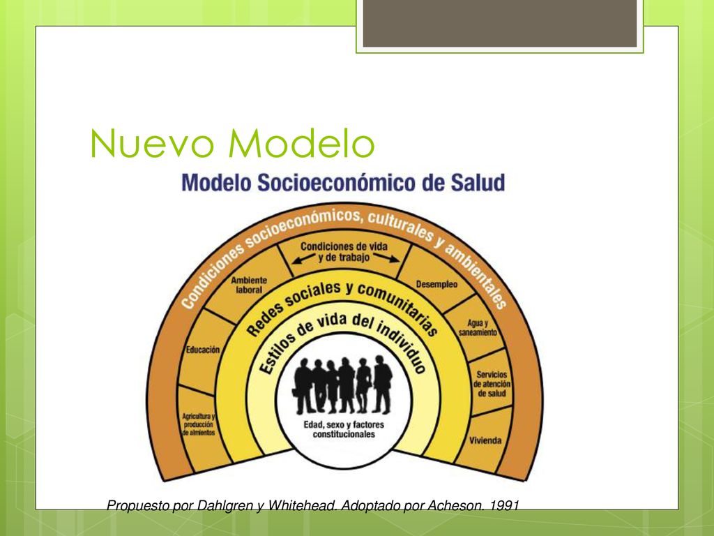 Nuevo Modelo Propuesto por Dahlgren y Whitehead. Adoptado por Acheson. 1991