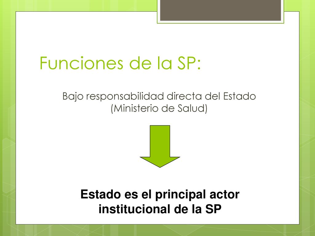 Estado es el principal actor institucional de la SP
