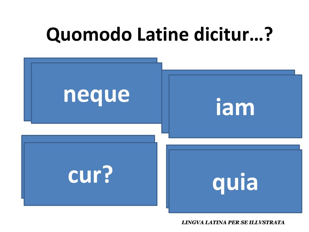 ni / y no / pero no neque ya iam ¿por qué cur porque quia