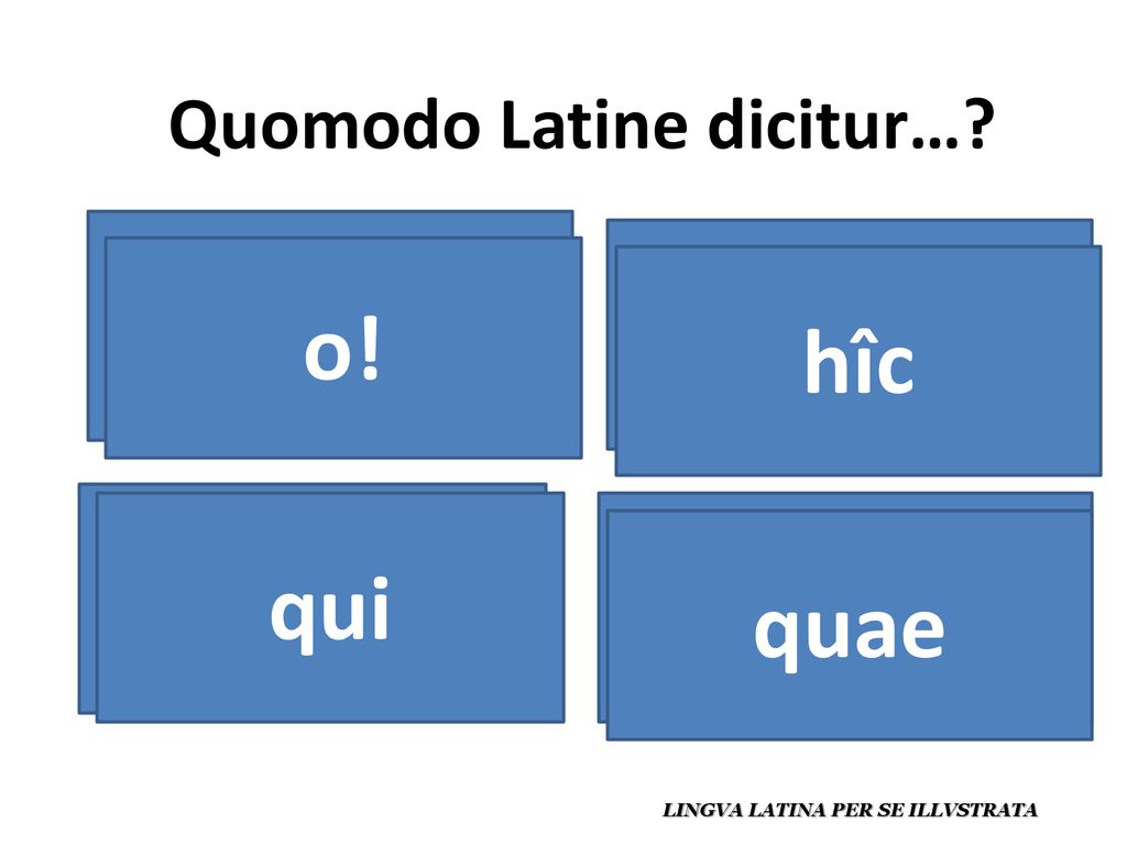 ¡oh! aquí o! hîc el que / quien qui la que / quien quae