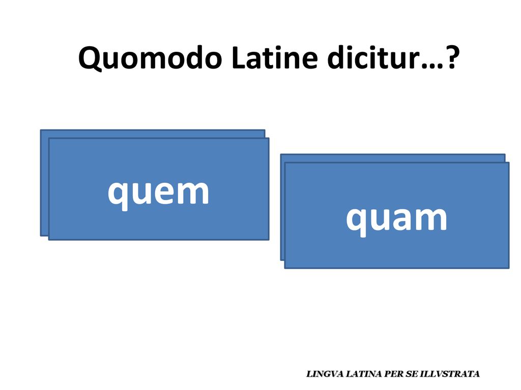 al que / a quien quem a la que / a quien quam