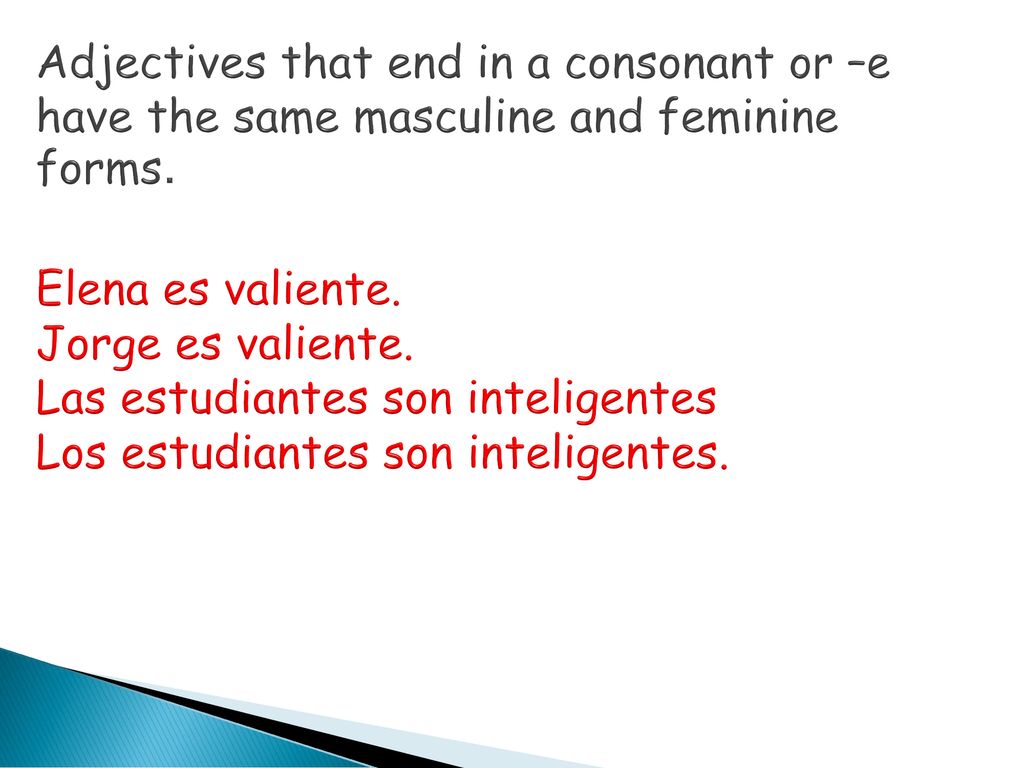 Adjectives that end in a consonant or –e have the same masculine and feminine forms.