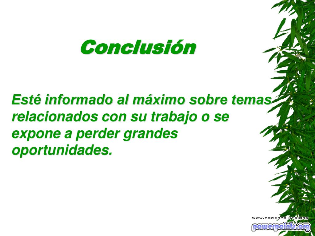 Conclusión Esté informado al máximo sobre temas relacionados con su trabajo o se expone a perder grandes oportunidades.