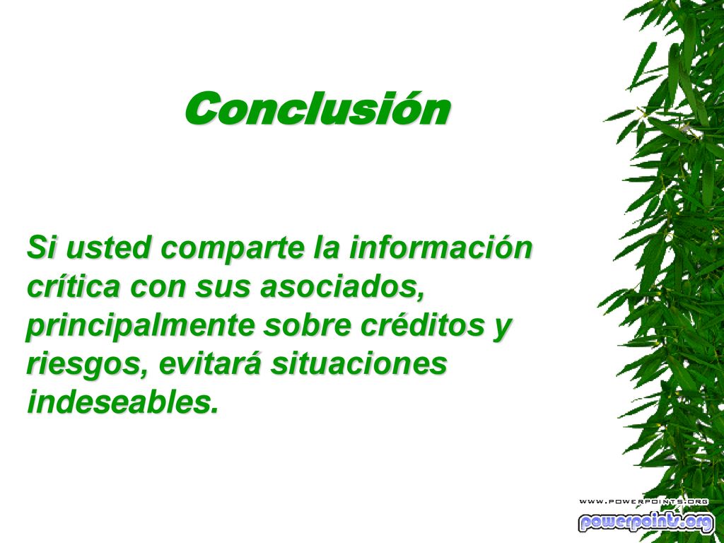 Conclusión Si usted comparte la información crítica con sus asociados, principalmente sobre créditos y riesgos, evitará situaciones indeseables.