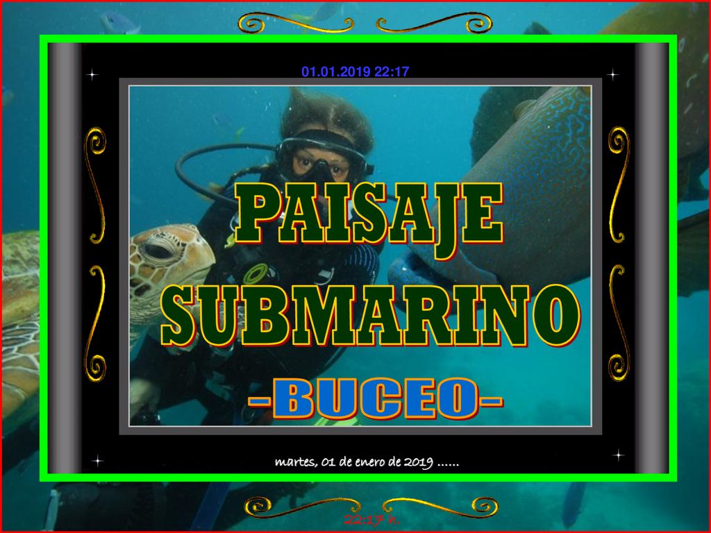 PAISAJE SUBMARINO -BUCEO- martes, 01 de enero de 2019 …… 22:17 h.
