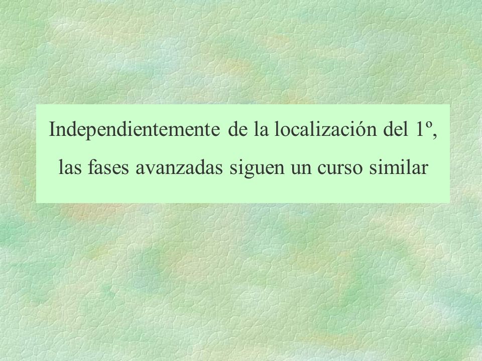 Independientemente de la localización del 1º, las fases avanzadas siguen un curso similar